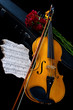 Violin on carry case