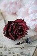 Vintage rose