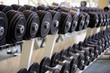 dumbbells 