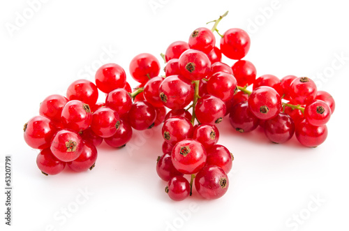 Photo: Rote Johannesbeeren Rote Johannesbeeren