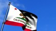 Video: California State Flag Waving On Blue Sky HD California State Flag Waving On Blue Sky HD