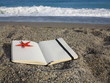 Open book and shell decoration