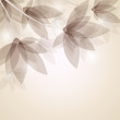Vektor: vector template "vintage flowers" vector template "vintage flowers"