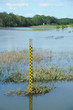 Hochwasser 12