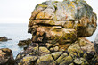 pink granite rock in Brittany