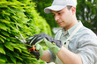 Photo: Gardener pruning an hedge Gardener pruning an hedge