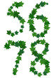 Summer maples leaves letter set