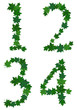 Summer maples leaves letter set