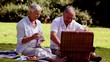 Mature couple having a picnic with white wine
