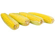 A group of corn over white background