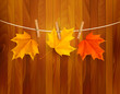 Autumn background with leaves. Vector illustration.
