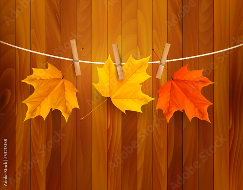 Vector: Autumn background with leaves. Vector illustration. Autumn background with leaves. Vector illustration.