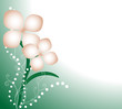 Background With Flowers