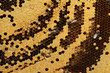 Close up view of the working bees on honeycells.