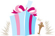 Surprise Gift