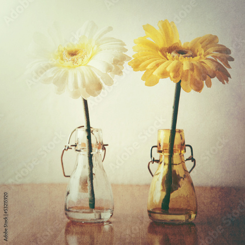 Photo: amis amis
