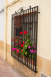 Andalusian window