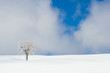 樹氷と雪景色