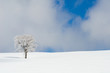 樹氷と雪景色