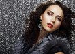 Luxury. Refined Elegant Brunette with Jewelry. Brilliance