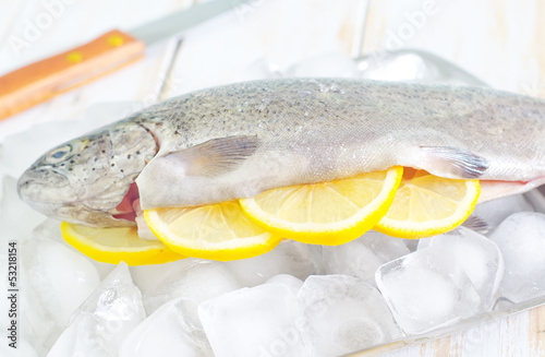 Photo: raw trout raw trout