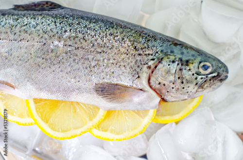 Photo: raw trout raw trout
