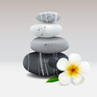 Spa stone with frangipani flower, vector Eps10 illustration.