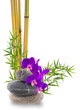 composition asiatique, orchidée, bambou et galets