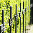 toter friedhof 21