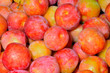 Plums 12