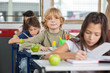 Photo: Schoolboy Sitting At Desk With Classmates In A Row Schoolboy Sitting At Desk With Classmates In A Row