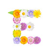 Blumenbuchstabe E