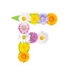Blumenbuchstabe F