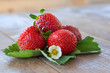 Strawberry.