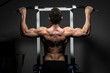young male bodybuilder doing heavy weight exercise