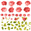 薔薇の花束