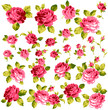薔薇の花束