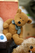 Teddybär