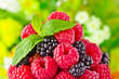 Foto: Sweet fresh fruits in glass goblet with mint leaf Sweet fresh fruits in glass goblet with mint leaf