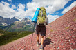 Hike in Glacier