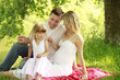 Young family on the nature
