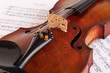 Foto: Violine / Geige Violine / Geige