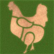 Fleischkunde am Huhn