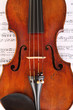 Foto: Violine / Geige Violine / Geige