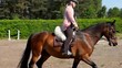 Pferdetraining