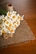 Chamomile flower on napkin