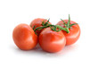 branch of tomatoes