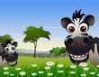 cute couple zebra cartoon with landscape background
