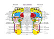 acuponcture