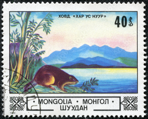 Photo: stamp printed by Mongolia, shows beaver stamp printed by Mongolia, shows beaver